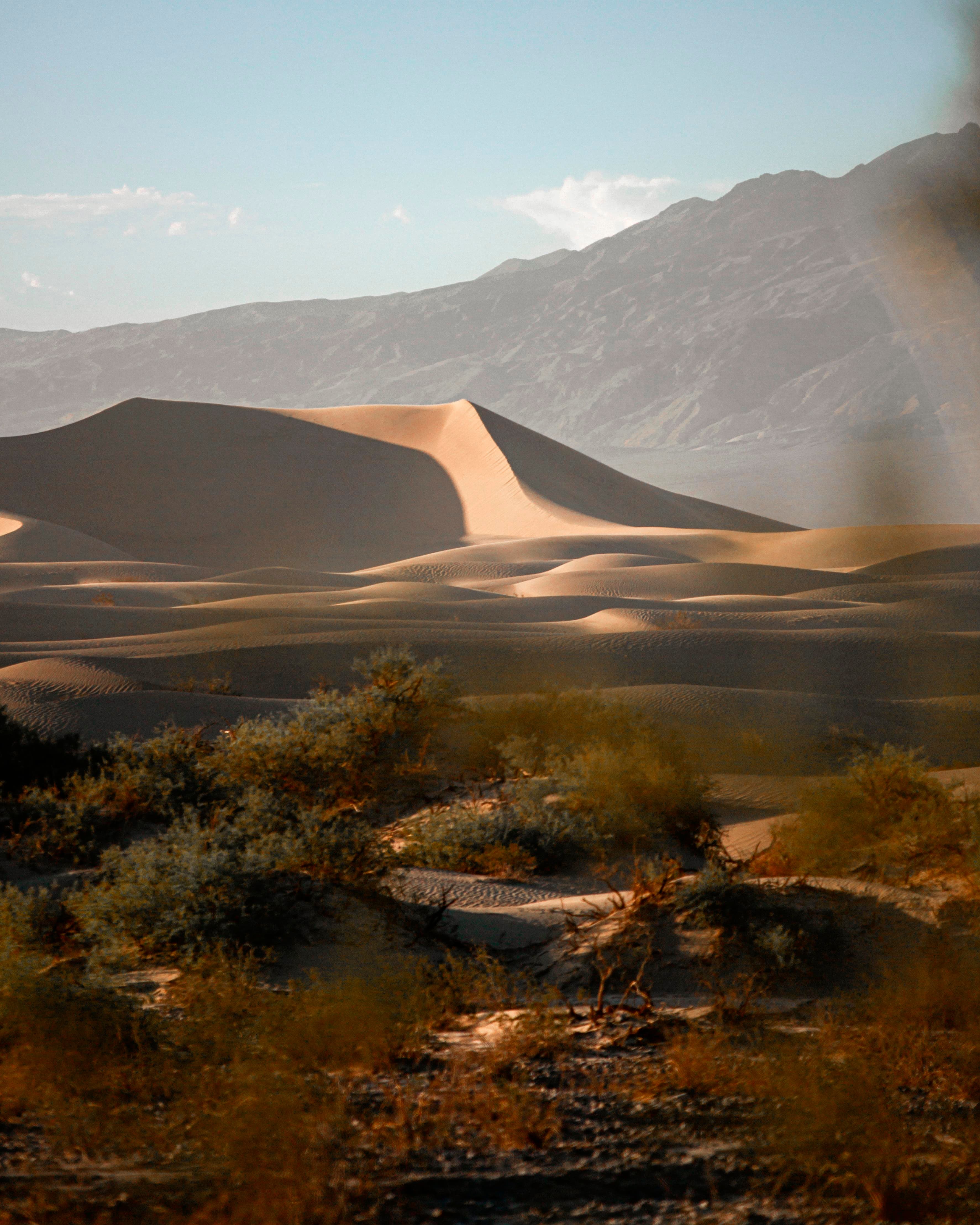 Low, warm light skims across pale sand dunes.